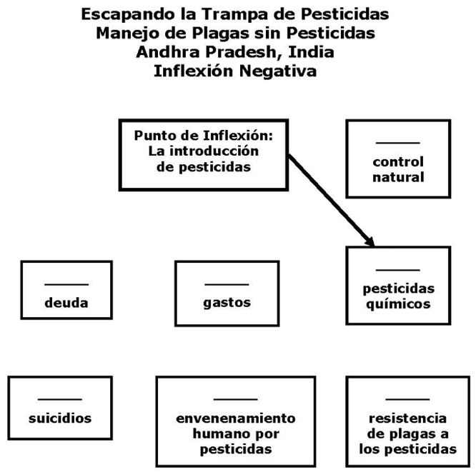 Diagramas de Retroalimentación