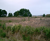 Former municipal landfill