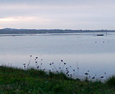 Overlooking Humboldt Bay