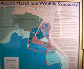 Aerial map of marsh