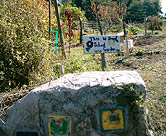 Sign and paintings made by students