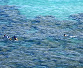 Snorkelers