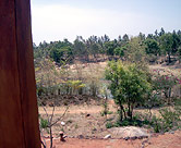 One of the village 'tanks' which captures and stores water to recharge groundwater.