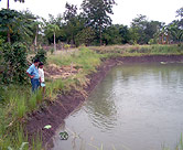 Watching fish. Saksith Meankul and Thanawm Chuwaingan in front of the fish pond.