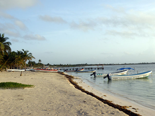 La playa/La playa de la aldea Punta Allen con sus lanchas para pescar a langostas.