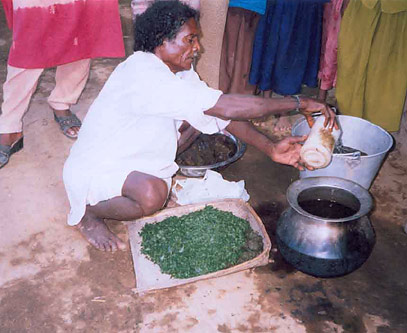 Figura 10. Preparando la solución de neem.