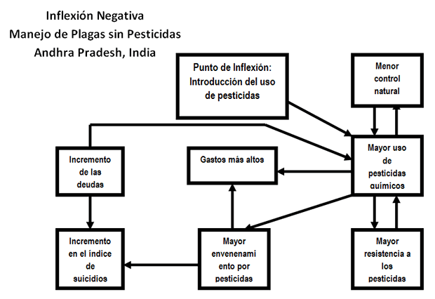 Figura 9. Círculos viciosos responsables de la trampa de los pesticidas en Andhra Pradesh, India.