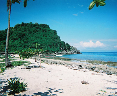 Figura 2: Santuario marino de la Isla Apo. 