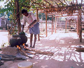 Preparando una solución para el uso contra los insectos chupadores. Ingredientes: hojas de Nim (Azadirachta indica), vavili (Vitex negundo) y sitaphalam (Annona squamosa).