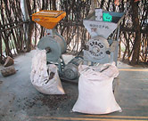 Máquina utilizada para moler semillas de Nim, empleando el polvo para hacer la solución de Nim. Las mujeres muelen el Nim no sólo para su uso en Punukula sino también porque tienen un negocio que proporciona el Nim a otras aldeas.