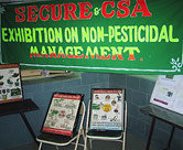Carteles que muestran cómo preparar y aplicar las soluciones de chile-ajo y de virus poliédrico en una exhibición de SECURE sobre el Manejo de Plagas sin Pesticidas.