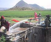 Rajasthan: aprovechándose del agua bombeada de un pozo y en camino a regar los campos durante la temporada seca. Foto: Ann Marten