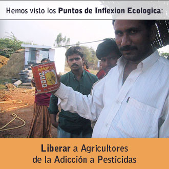 Control de plagas sin pesticidas en India