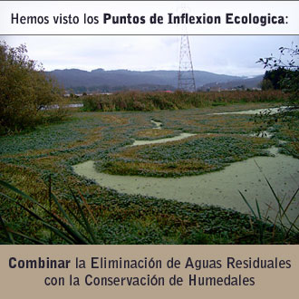Humedales artificiales en Arcata, California