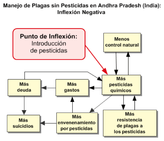 Andhra Pradesh Negative